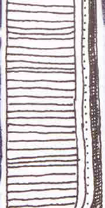 Multiliners Coloring Photo 7