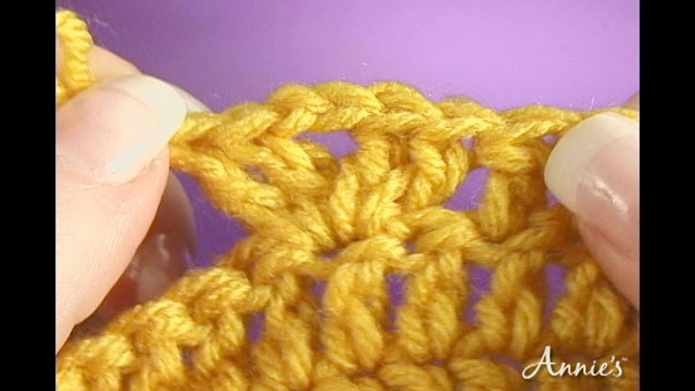 How to Crochet the Shell Stitch