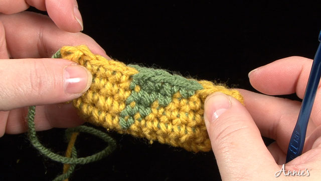 Learn Tapestry Crochet